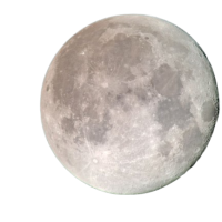 image-removebg-preview (8)